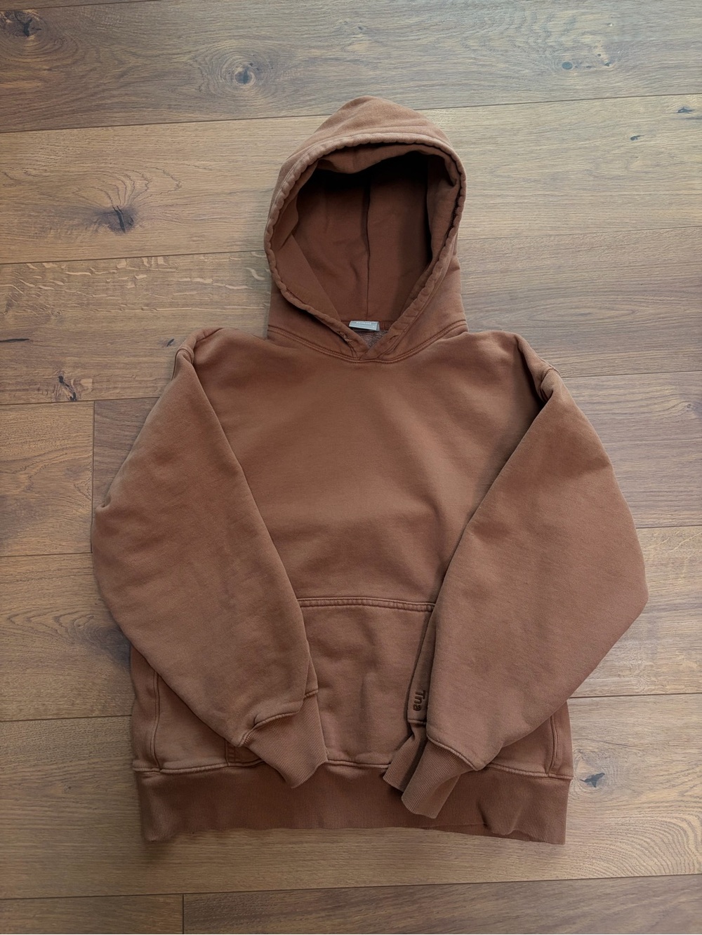 Aritzia Brown Hoodie